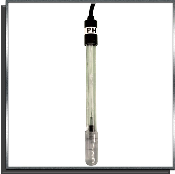 Sonde pH AYAC08AC00 120mm 5B 60DEG C epoxy câble 5 mètre AVADY
